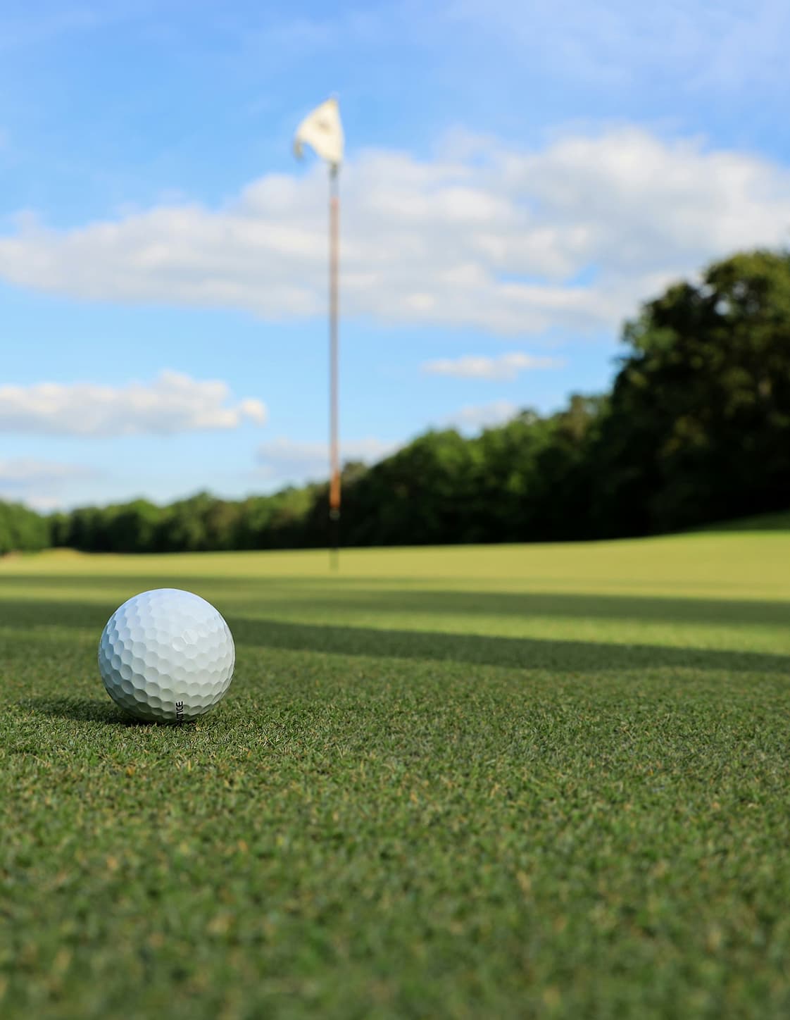 Turfgrass golf teren